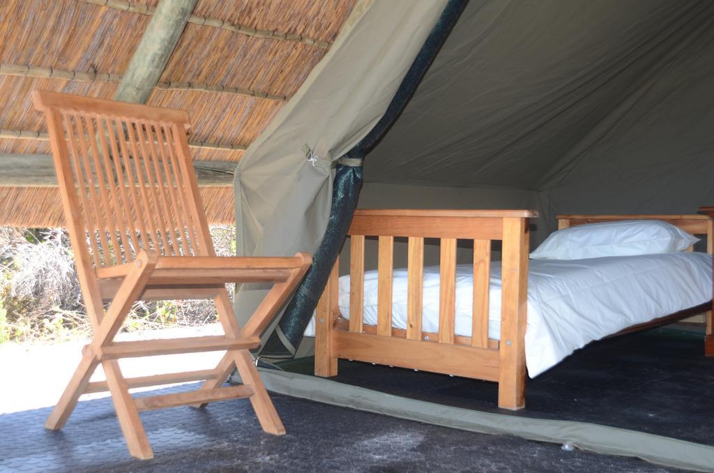 West Coast Luxury Tents Dwarskersbos エクステリア 写真