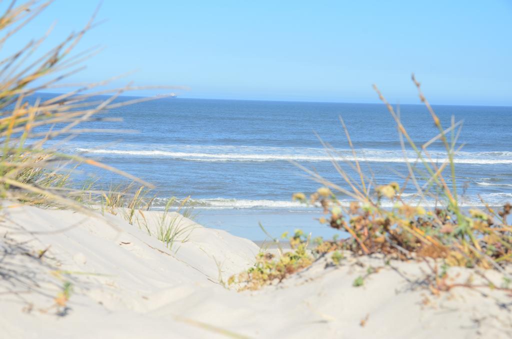 West Coast Luxury Tents Dwarskersbos エクステリア 写真