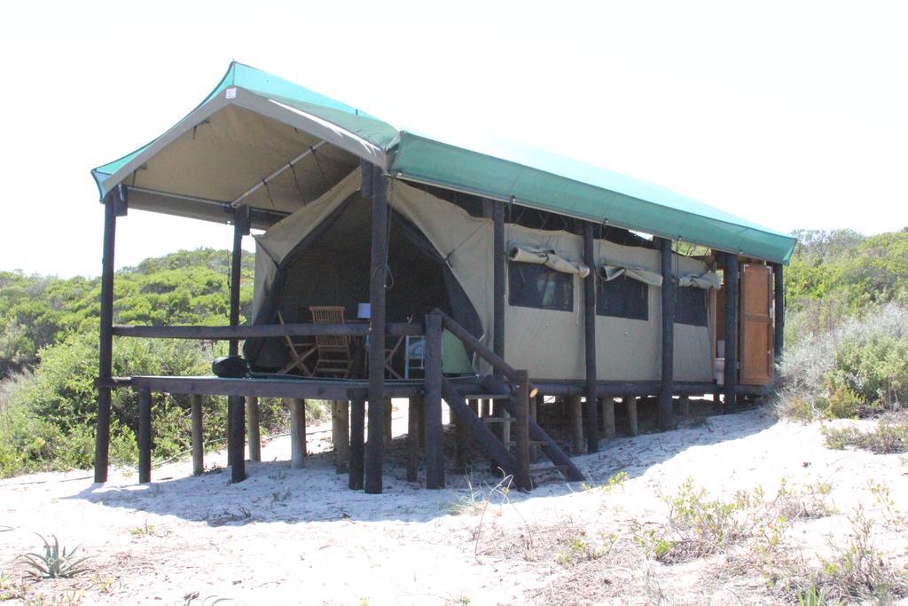 West Coast Luxury Tents Dwarskersbos エクステリア 写真