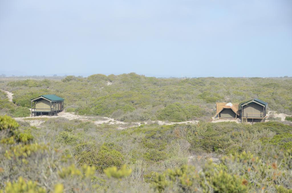 West Coast Luxury Tents Dwarskersbos エクステリア 写真