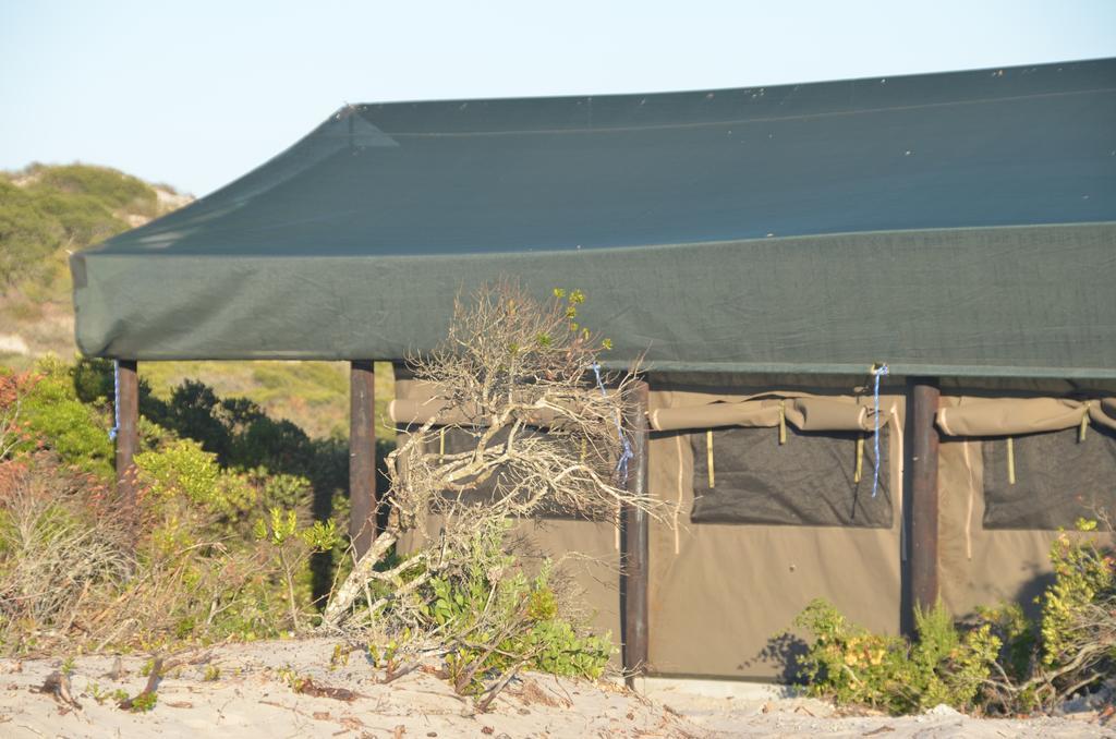 West Coast Luxury Tents Dwarskersbos エクステリア 写真