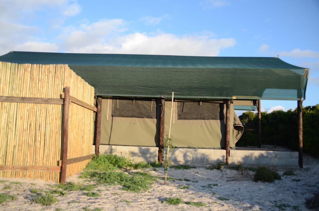 West Coast Luxury Tents Dwarskersbos エクステリア 写真